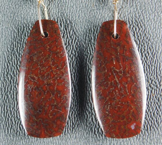 Dark Red Agatized Dinosaur Bone (Gembone) Earrings #54079